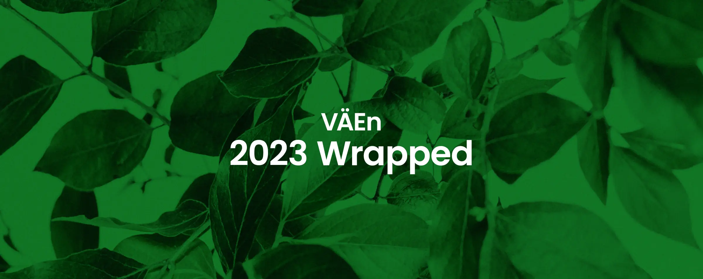 Vihreä Älyenergia kasvoi asiakasmäärältään nelinkertaiseksi 2023